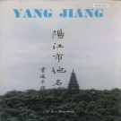 阳江市地名志 PDF下载