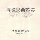 博爱县曲艺志 1989版 PDF下载