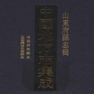 民国莱芜县志 民国续修莱芜县志 PDF下载