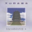 文山县志简本 2005版 PDF下载