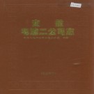 安徽电建二公司志 PDF下载