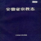 安徽省宗教志 PDF下载