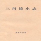 三河镇小志 PDF下载