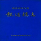 龙浔镇志 PDF下载