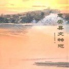 惠安县文物志 PDF下载